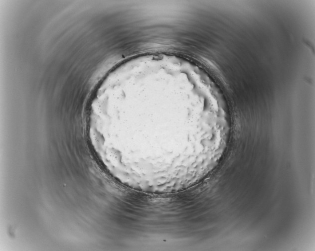 X0000102261419200808151830