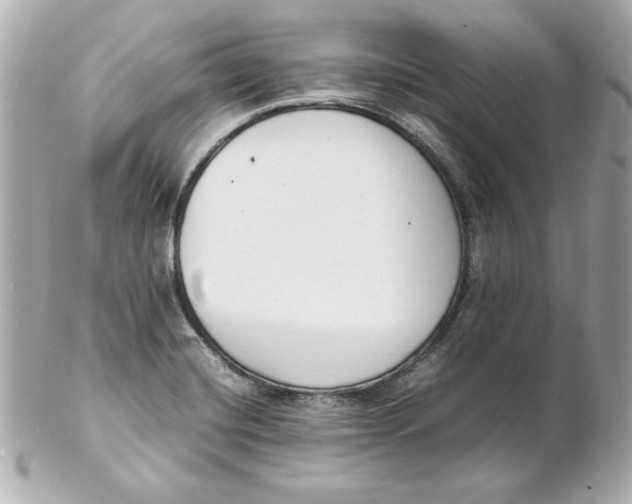 X0000102261420200808151830