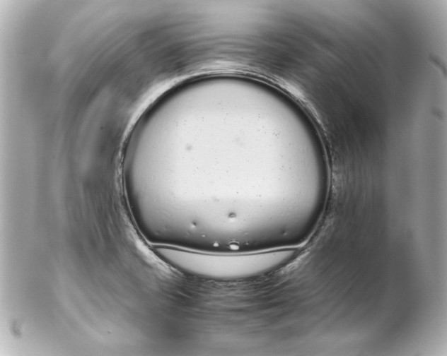 X0000102261421200808151830