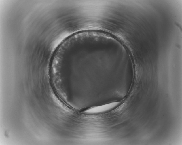 X0000102261422200808151830