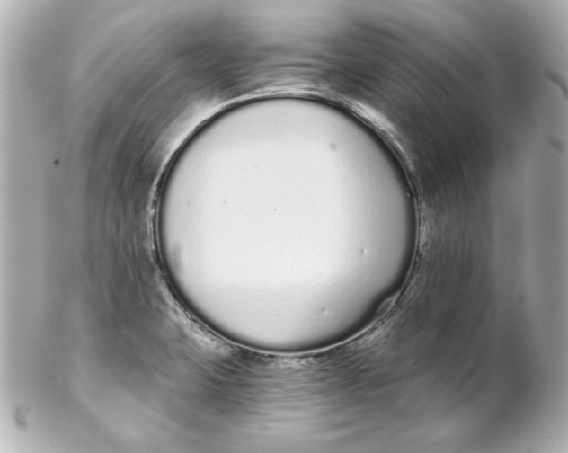 X0000102261423200808151830