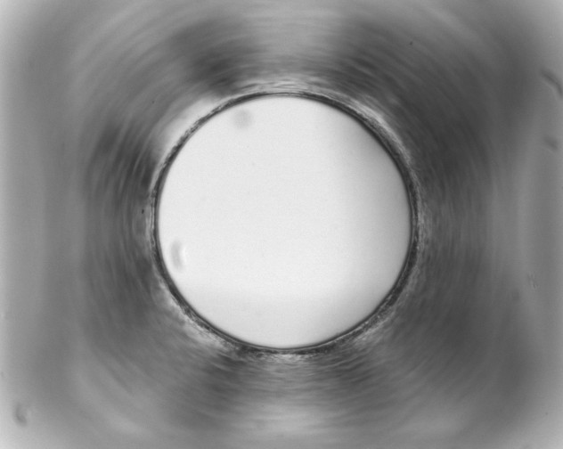 X0000102261424200808151830