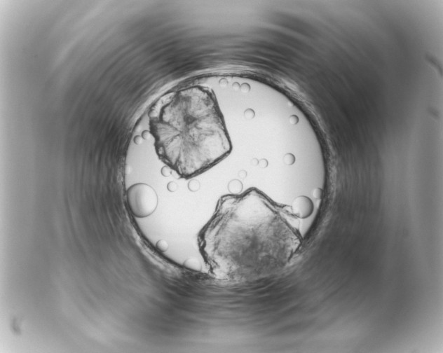 X0000102261425200808151830