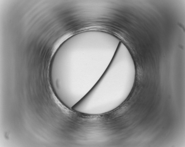 X0000102261426200808151830