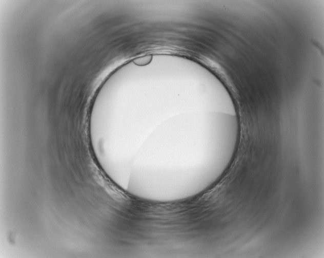 X0000102261427200808151830