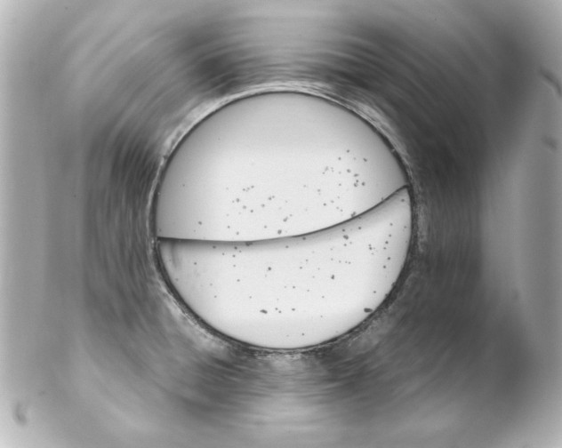 X0000102261428200808151830