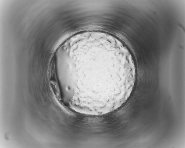 X0000102261429200808151830