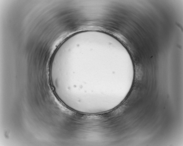 X0000102261430200808151830