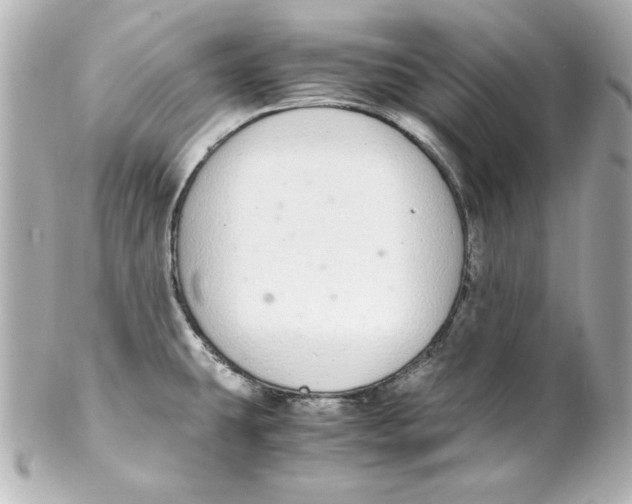 X0000102261431200808151830