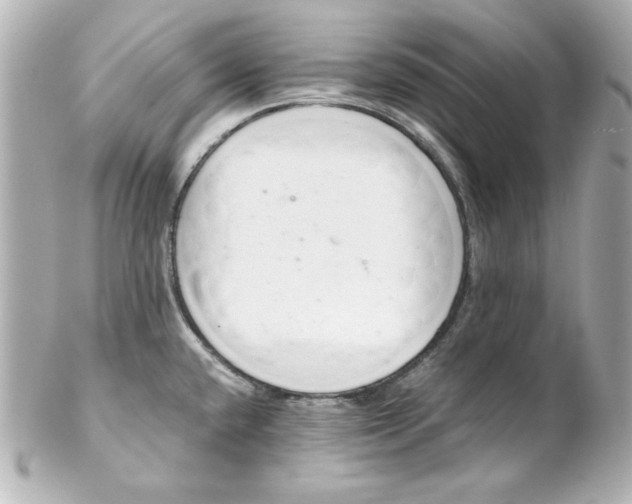 X0000102261432200808151830