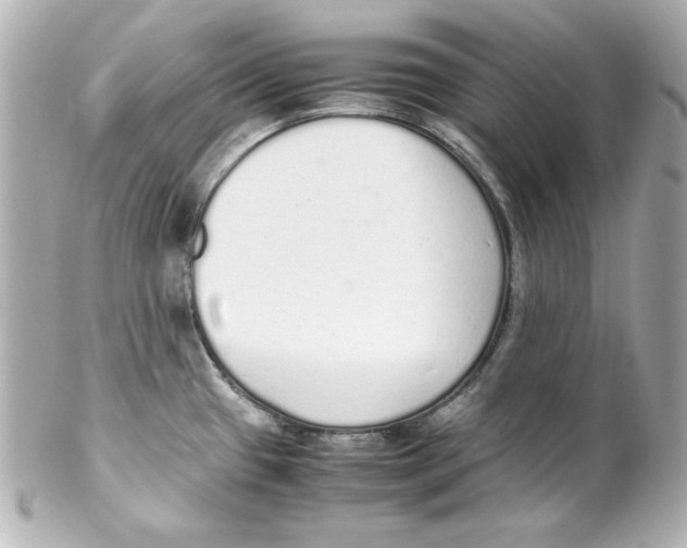 X0000102261433200808151830