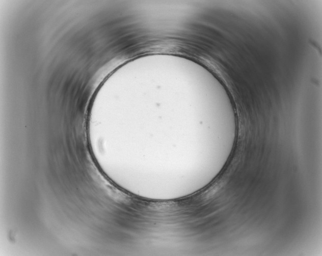 X0000102261434200808151830