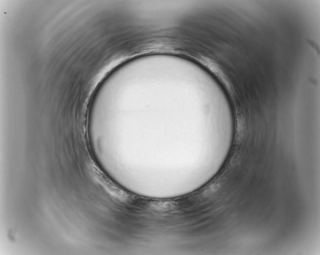 X0000102261435200808151830