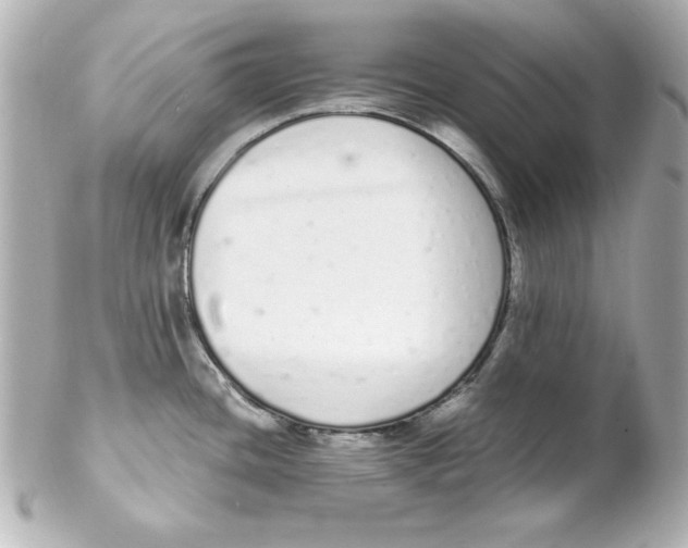 X0000102261436200808151830