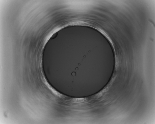 X0000102261437200808151830