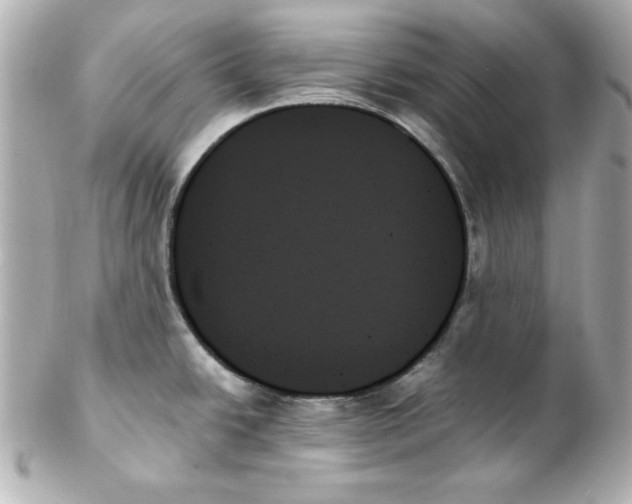 X0000102261438200808151830