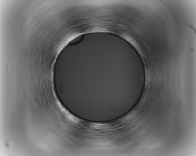 X0000102261439200808151830