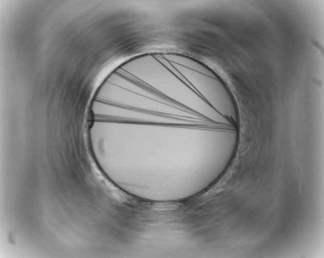 X0000102261440200808151830