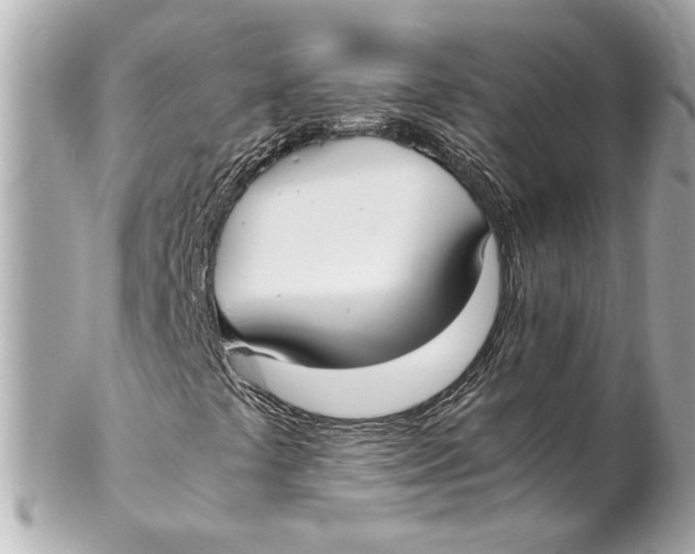 X0000102261441200808151829