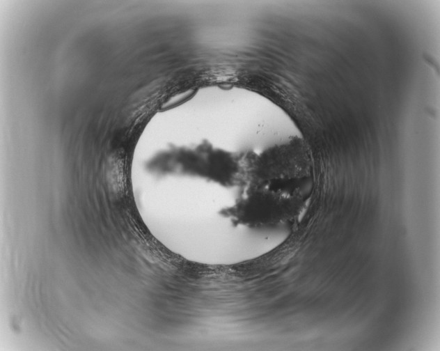 X0000102261442200808151829