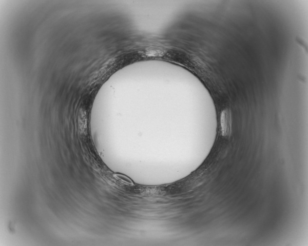 X0000102261443200808151829