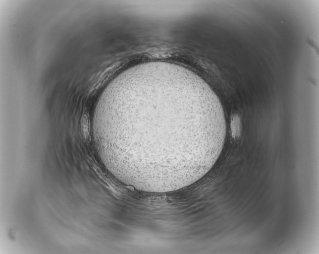 X0000102261444200808151829