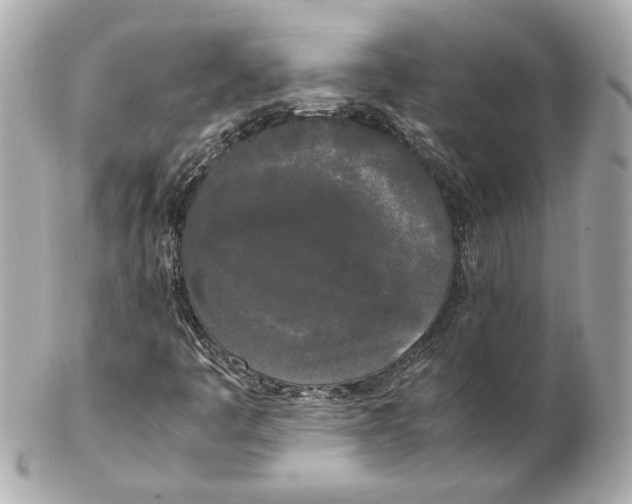 X0000102261445200808151829