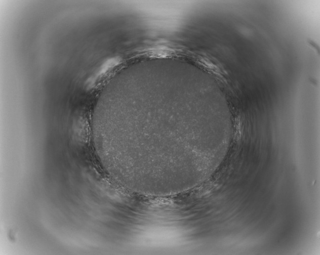 X0000102261446200808151829