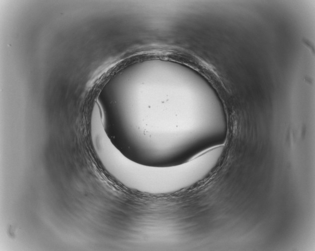 X0000102261448200808151829