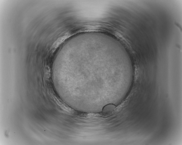 X0000102261449200808151829