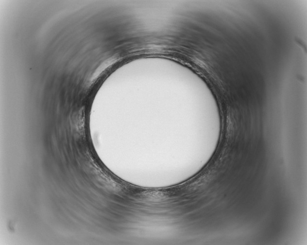 X0000102261450200808151829