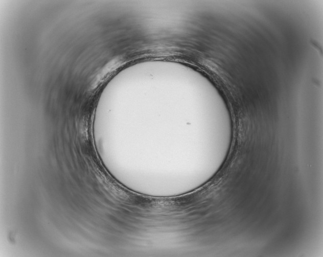 X0000102261451200808151829