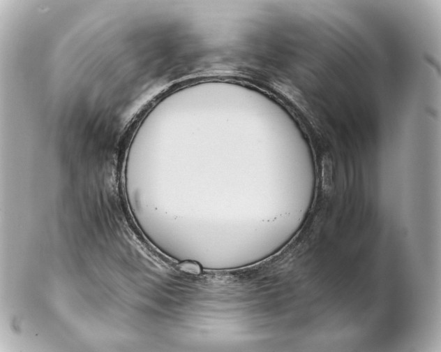 X0000102261452200808151829