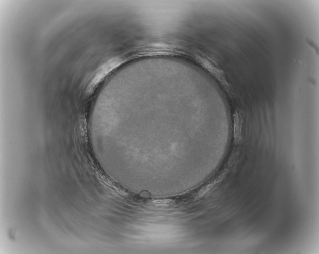 X0000102261453200808151829