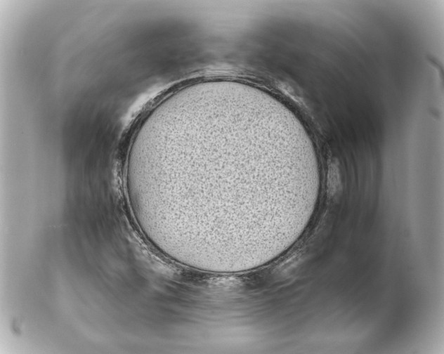 X0000102261454200808151829