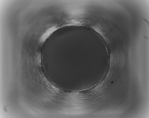 X0000102261455200808151829