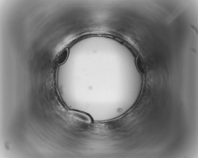 X0000102261456200808151829