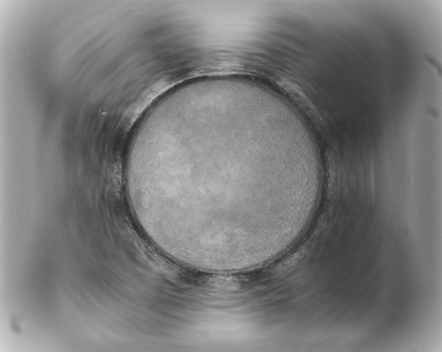 X0000102261457200808151829