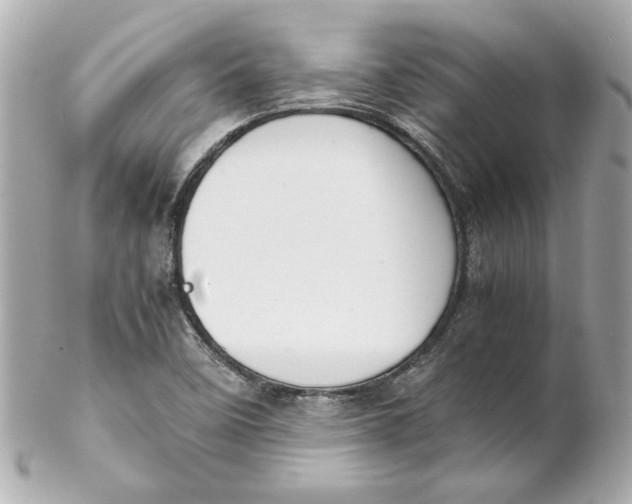 X0000102261458200808151829