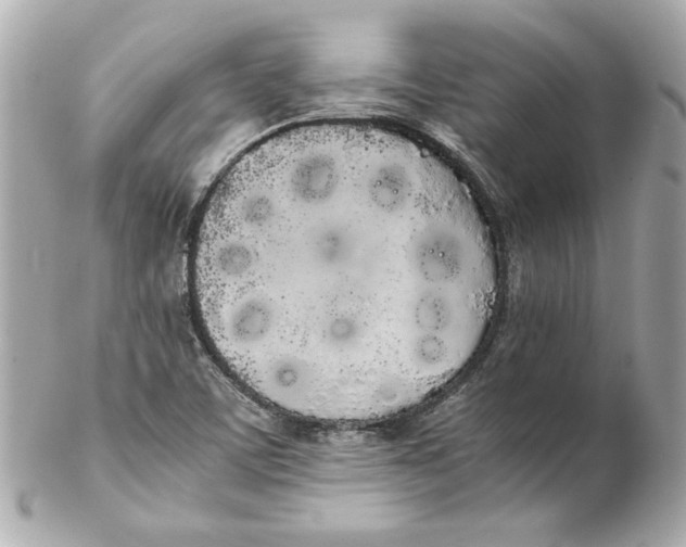 X0000102261459200808151829