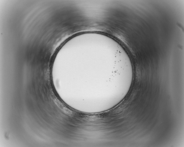 X0000102261460200808151829