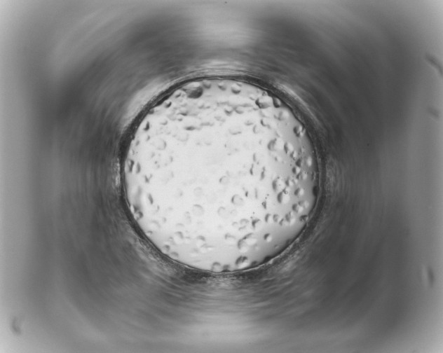 X0000102261461200808151829