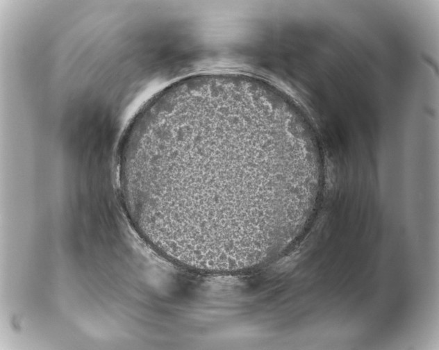 X0000102261462200808151829