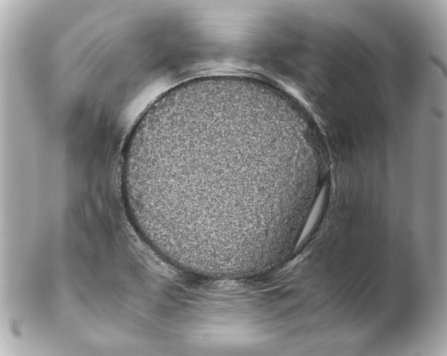 X0000102261463200808151829