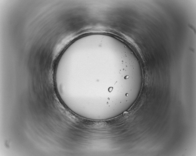 X0000102261464200808151829