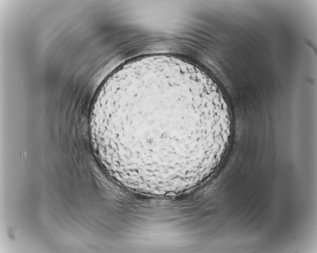 X0000102261465200808151829