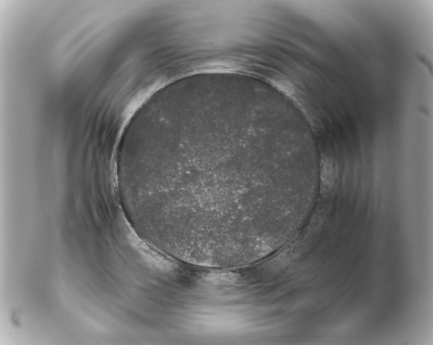 X0000102261466200808151829