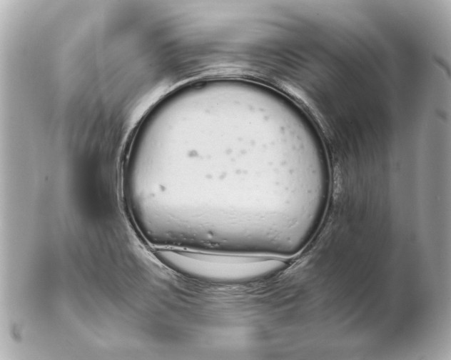 X0000102261467200808151829