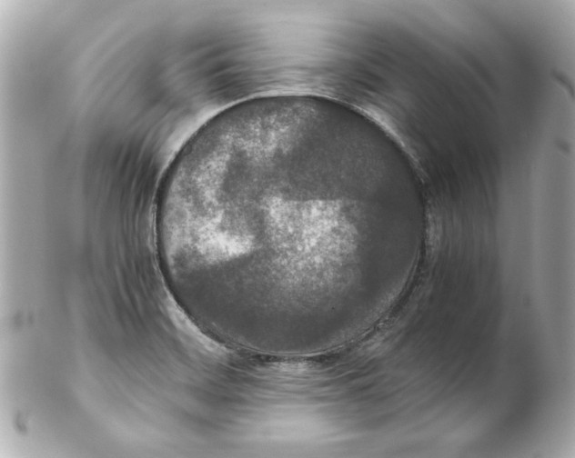 X0000102261468200808151829