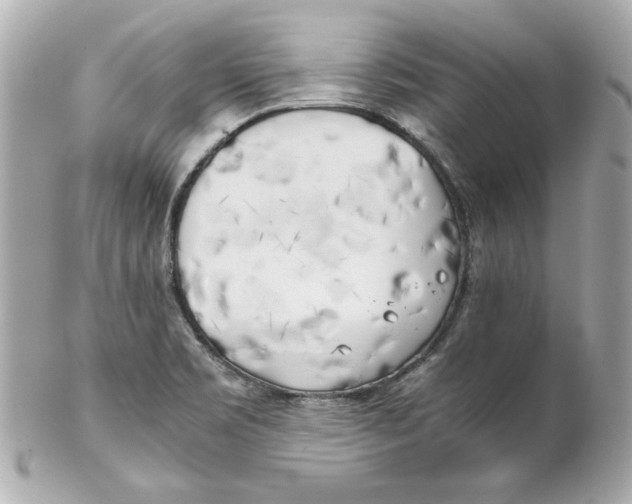 X0000102261469200808151829